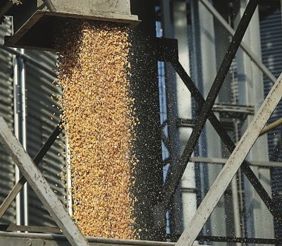 На тривале зберігання закладають тільки очищене зерно