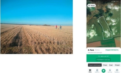 Фото 5. Загальний вигляд поля та його контури (скрін фото із супутника). Технологія землеробства – No-till. Наступна культура в сівозміні 2020 року – соняшник