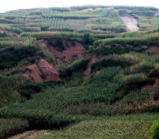 Наслідки ерозії на схилах (Китай)